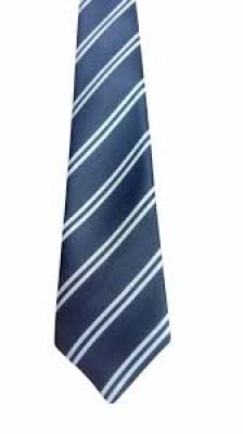 School Navy Blue With Two White Stripes Ties Long